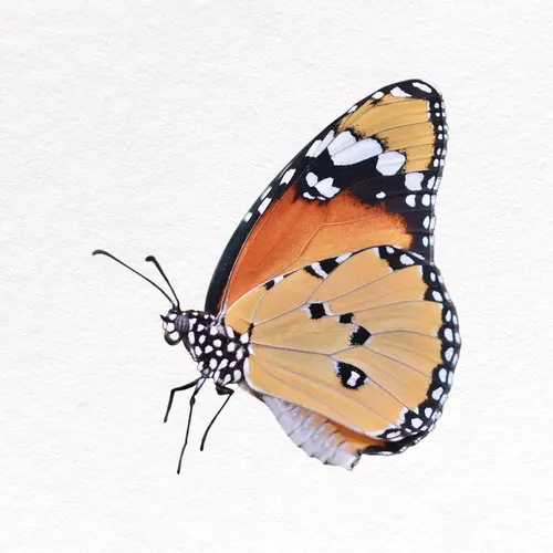 Aesthetic Art No. 997 — downloadable digital art print