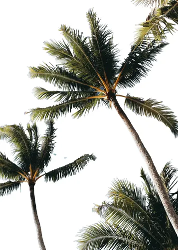Beach No. 317 — downloadable digital art print