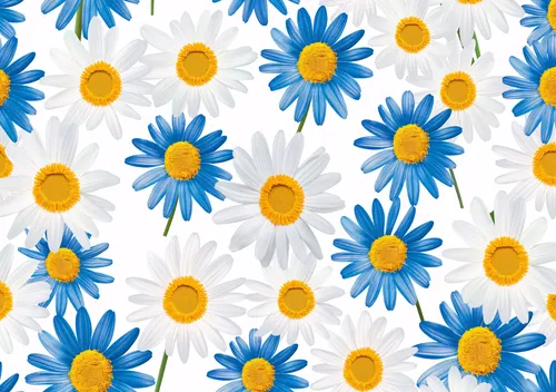 Flower Botanical No. 259 — downloadable digital art print