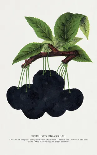 Aesthetic Art No. 698 — downloadable digital art print