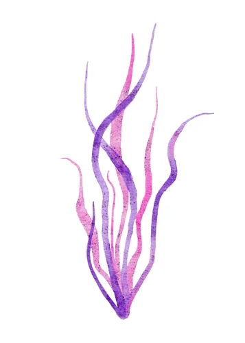 Beach No. 41 — downloadable digital art print