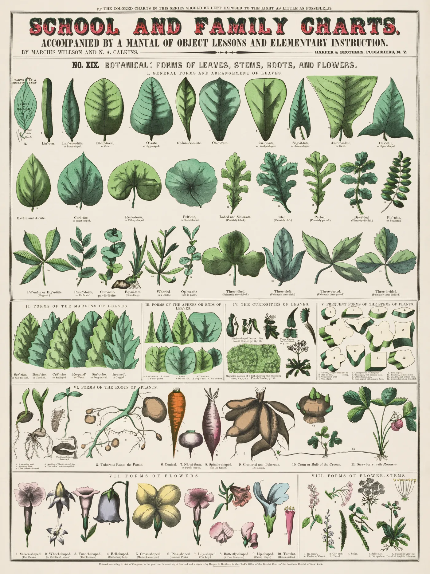 Spring No. 16 — downloadable digital art print