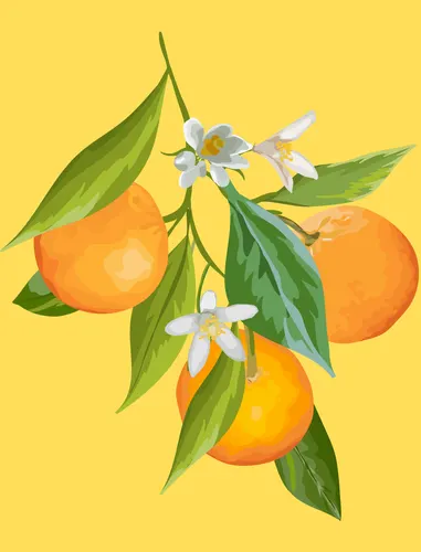 Aesthetic Art No. 396 — downloadable digital art print