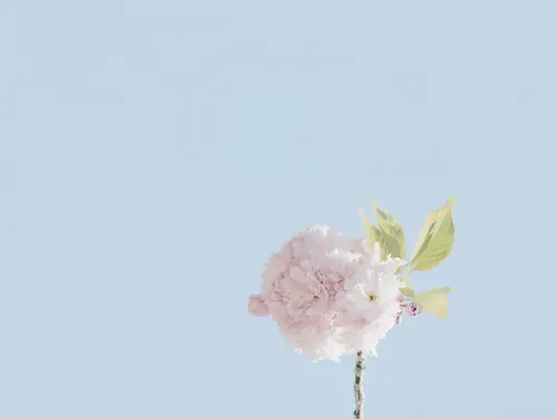 Aesthetic Art No. 239 — downloadable digital art print