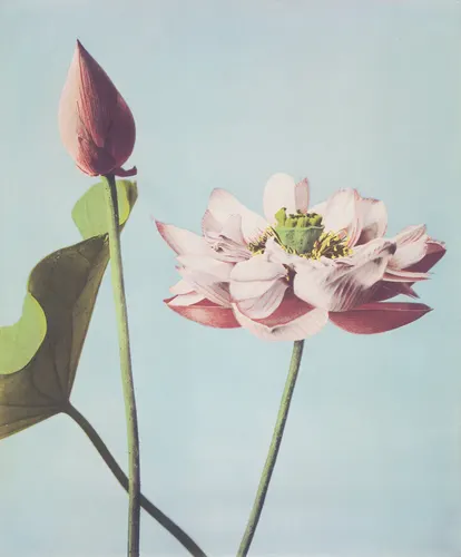 Aesthetic Art No. 249 — downloadable digital art print