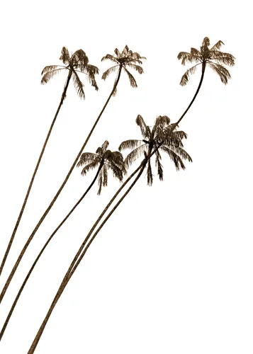 Beach No. 4 — downloadable digital art print