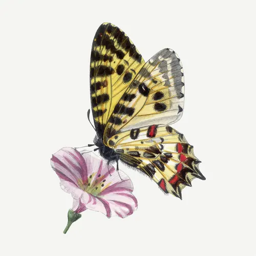 Square Aesthetic No. 205 — downloadable digital art print