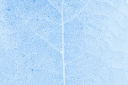 Aesthetic Art No. 45 — downloadable digital art print