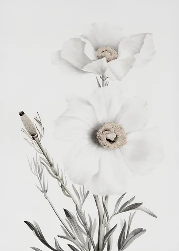 Scenery No. 37 — printable wall art