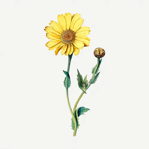 Square Aesthetic No. 276 — downloadable digital art print