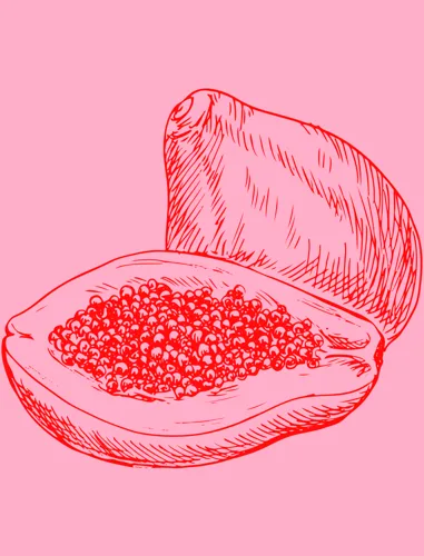 Fruit Art No. 80 — downloadable digital art print