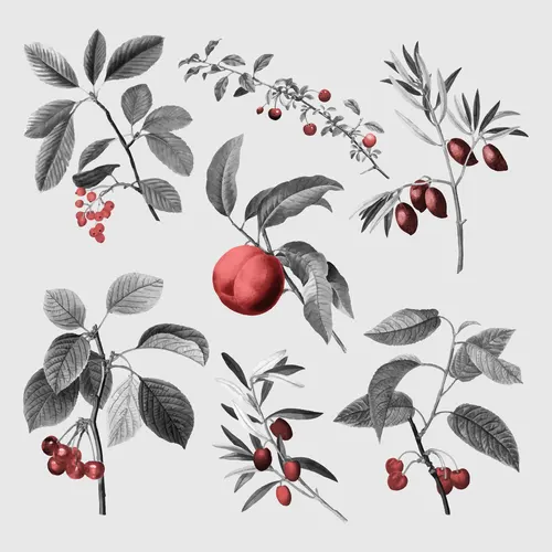 Aesthetic Art No. 599 — downloadable digital art print