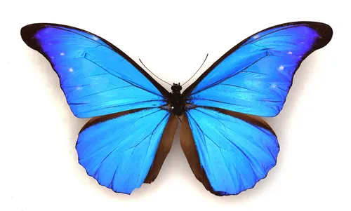 Aesthetic Art No. 927 — downloadable digital art print