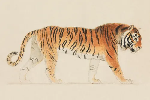 Aesthetic Art No. 912 — downloadable digital art print