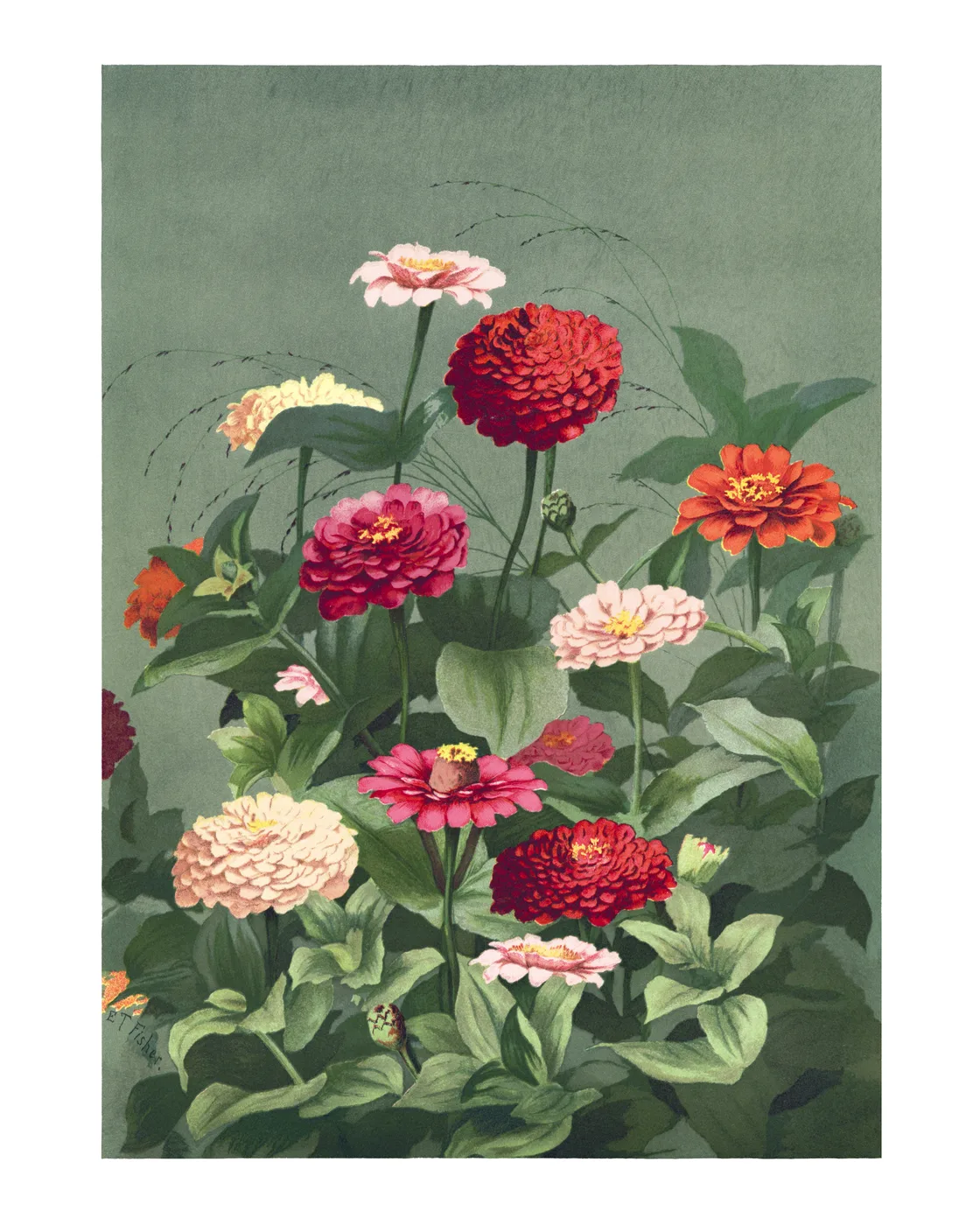 Trendy No. 464 — downloadable digital art print