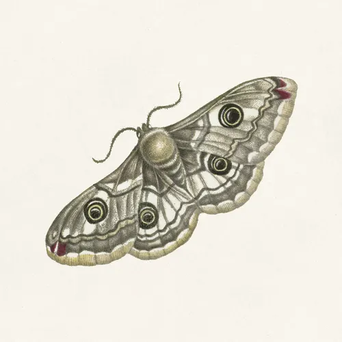 Aesthetic Art No. 1100 — downloadable digital art print