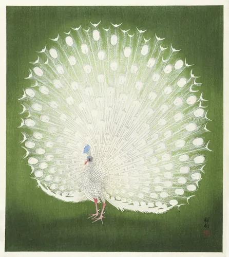 Aesthetic Art No. 92 — downloadable digital art print