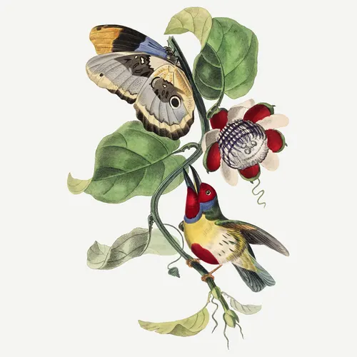 Square Aesthetic No. 208 — downloadable digital art print