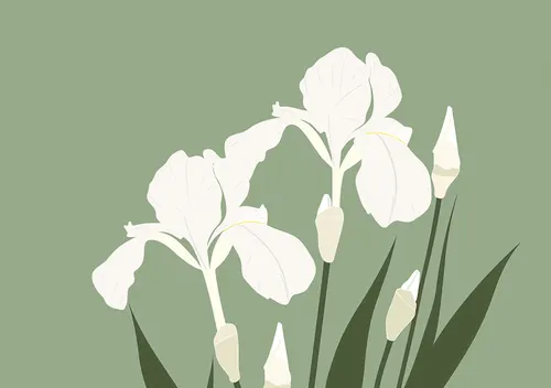 Flower Botanical No. 400 — downloadable digital art print