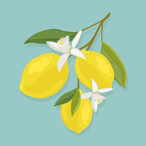 Aesthetic Art No. 739 — downloadable digital art print