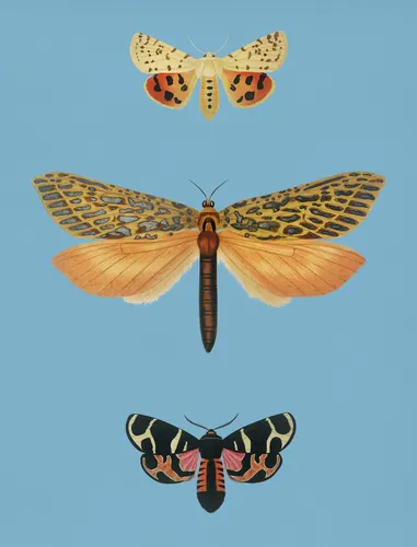 Aesthetic Art No. 845 — downloadable digital art print