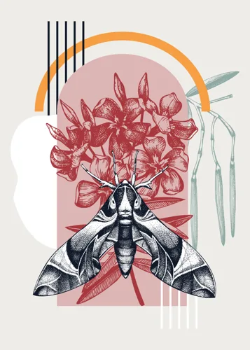 Animal No. 38 — downloadable digital art print