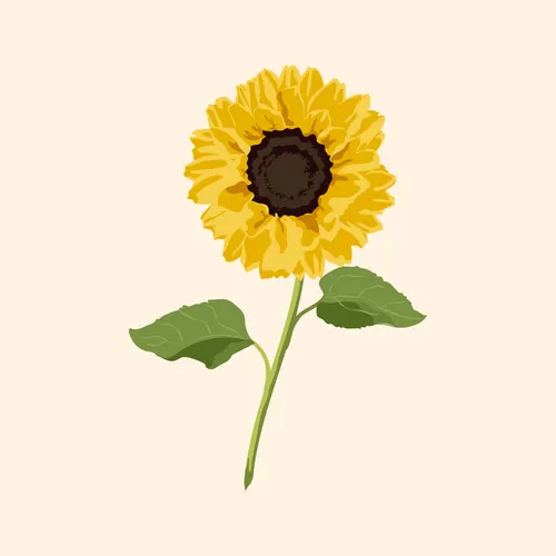 Square Aesthetic No. 134 — downloadable digital art print