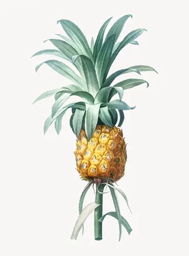 Aesthetic Art No. 566 — downloadable digital art print