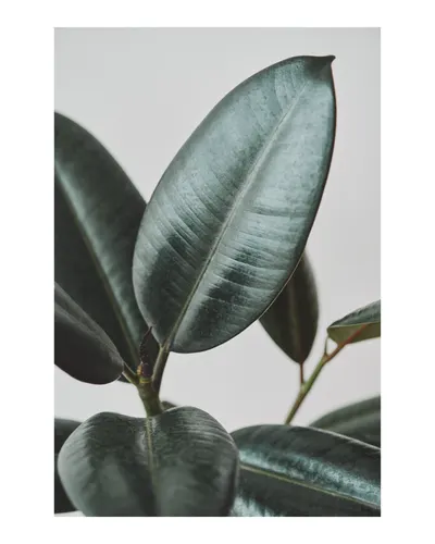 Trendy No. 407 — downloadable digital art print