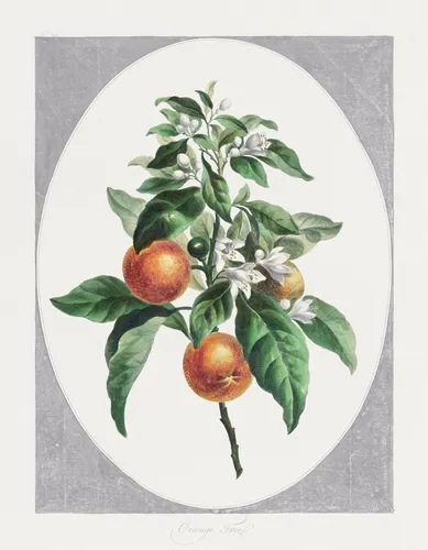 Aesthetic Art No. 548 — downloadable digital art print