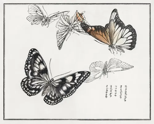 Aesthetic Art No. 865 — downloadable digital art print