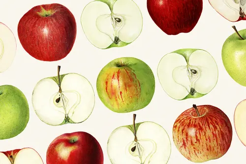 Aesthetic Art No. 374 — printable wall art