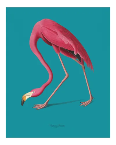 Animal No. 16 — downloadable digital art print
