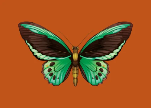 Animal No. 3 — downloadable digital art print