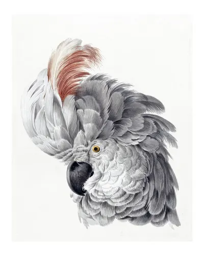 Animal No. 51 — downloadable digital art print