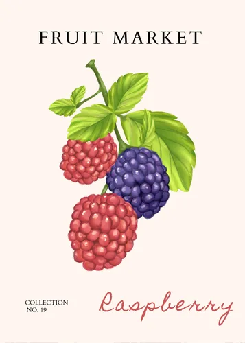 Fruit Art No. 23 — downloadable digital art print