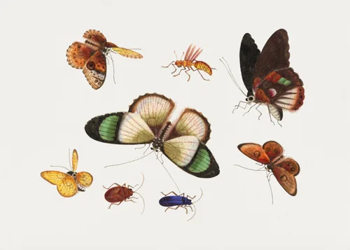 Vintage Culture No. 535 — printable wall art