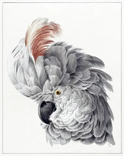 Aesthetic Art No. 917 — downloadable digital art print