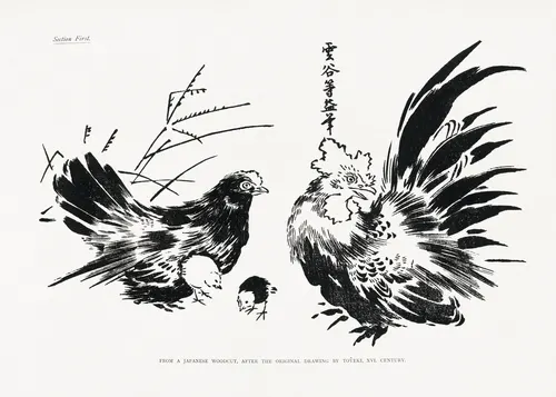 Aesthetic Art No. 1243 — downloadable digital art print