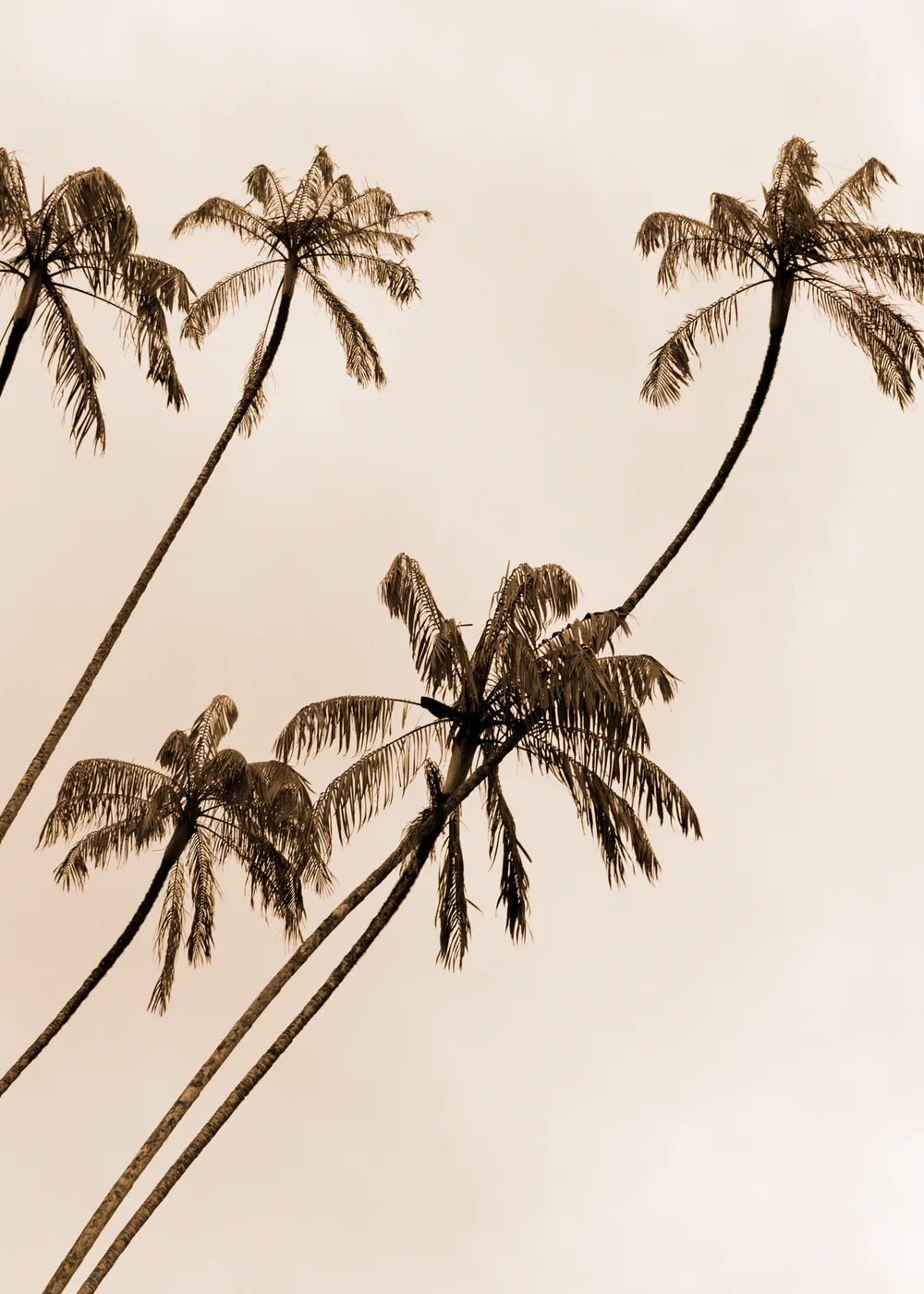 Beach No. 320 — downloadable digital art print