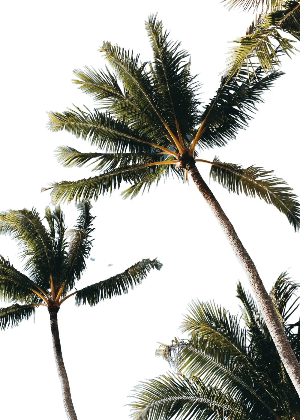 Beach No. 317 — downloadable digital art print