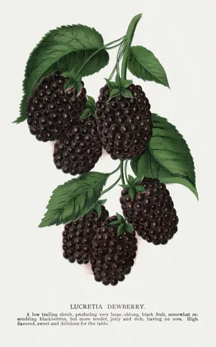 Aesthetic Art No. 472 — downloadable digital art print