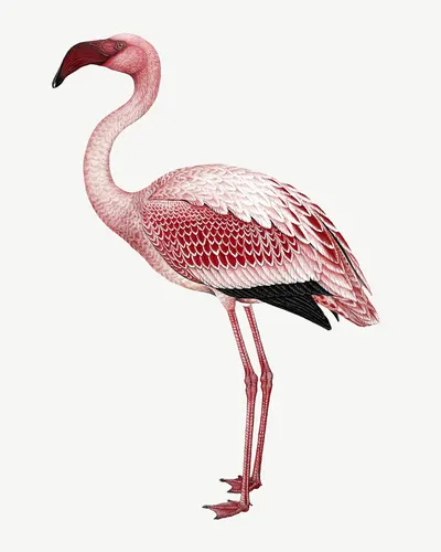 Aesthetic Art No. 1220 — downloadable digital art print
