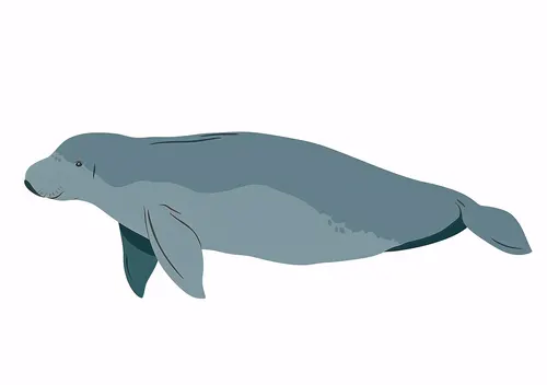 Animal No. 257 — downloadable digital art print