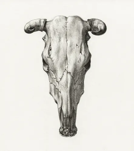 Aesthetic Art No. 932 — downloadable digital art print