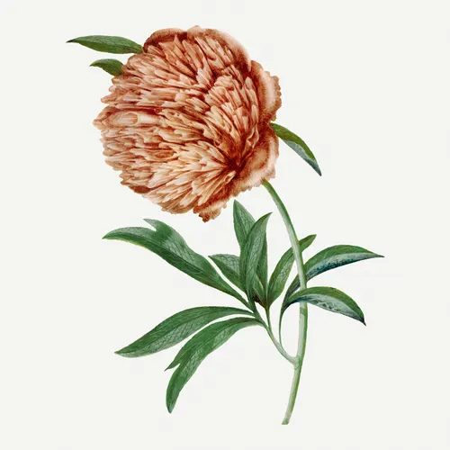 Square Aesthetic No. 279 — downloadable digital art print