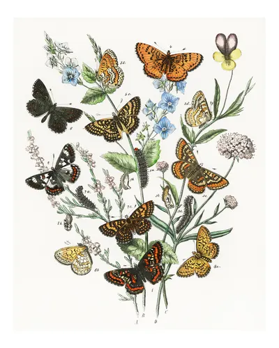 Aesthetic Art No. 1131 — downloadable digital art print