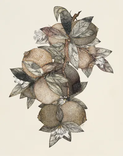 Aesthetic Art No. 467 — downloadable digital art print