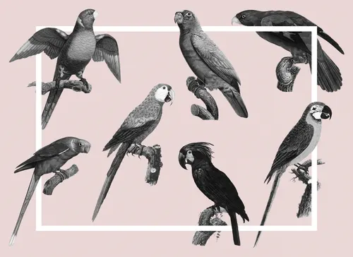 Aesthetic Art No. 858 — downloadable digital art print
