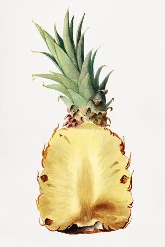 Aesthetic Art No. 533 — downloadable digital art print